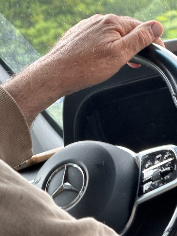 Driver spotted behind wheel of Mercedes in Brestovets