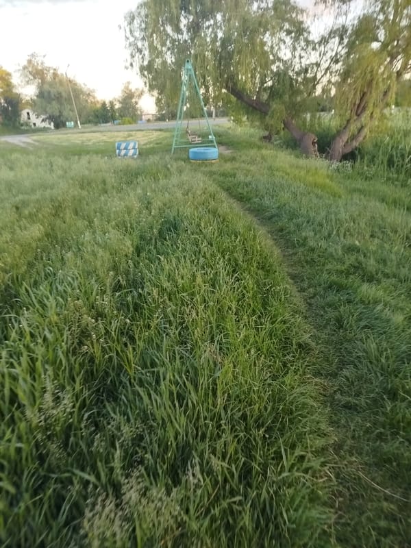 Rural landscapes documented during golden hour on June 1st