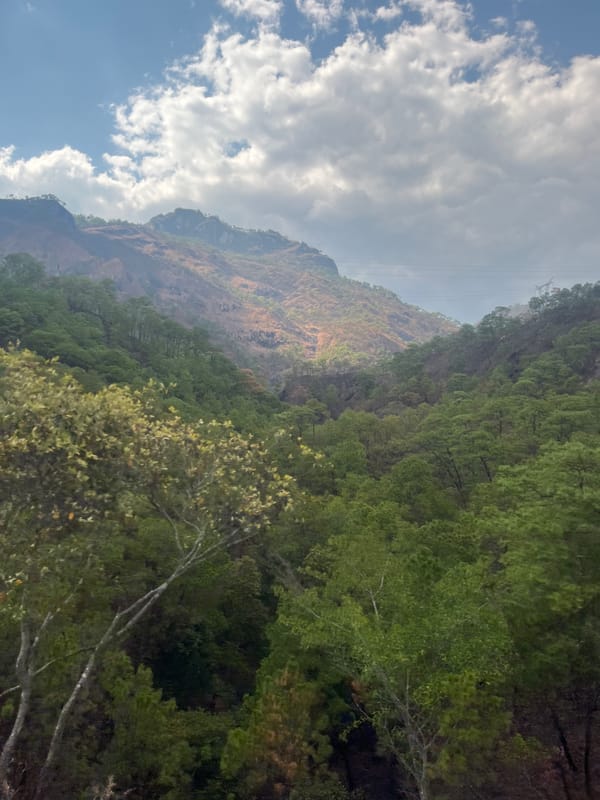 Mountain landscape with dense forest observed near Ocotito, Mexico