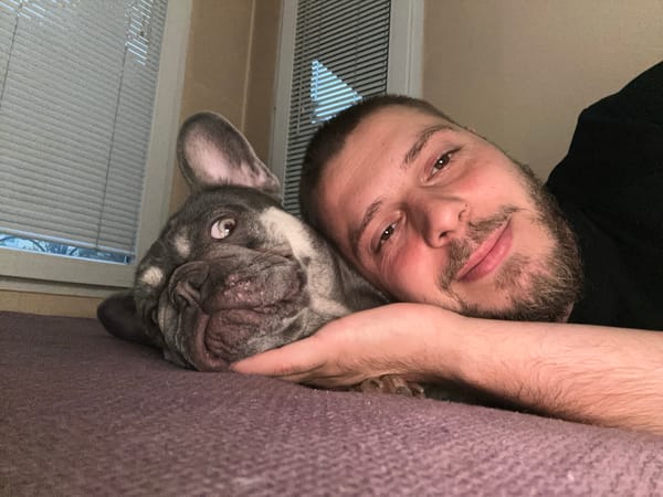 Newborn and French bulldog share their first day home