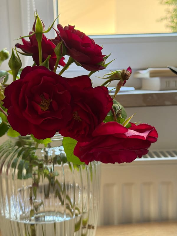 A quiet morning at home in Korbach, inside and out