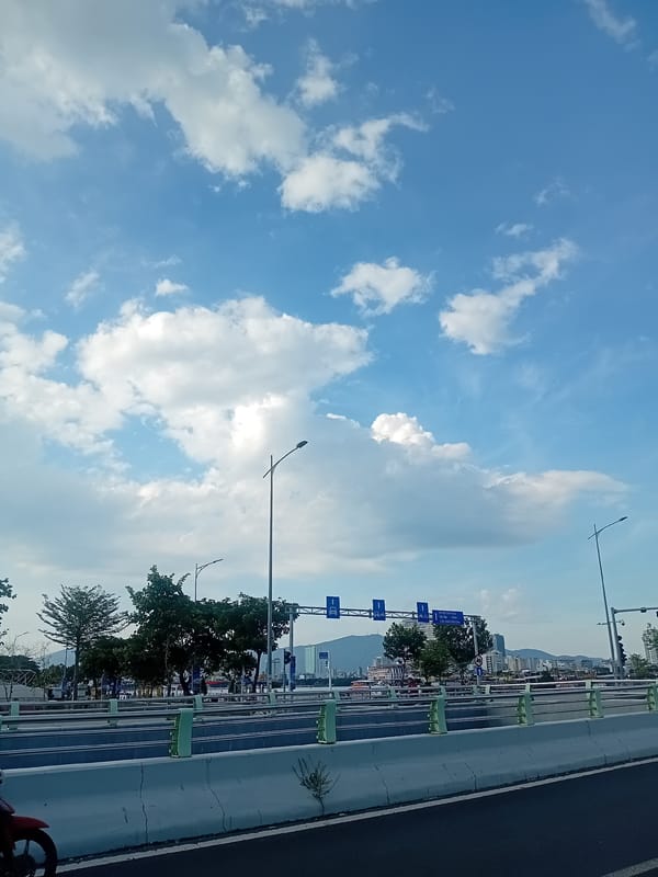 Đà Nẵng's urban infrastructure and development on display