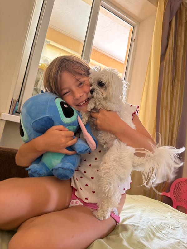 Slow Crimean morning: fluffy dog, plush toys, and caviar toast