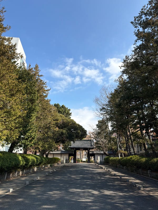 Traditional Japanese structure observed along landscaped Shibuya pathway