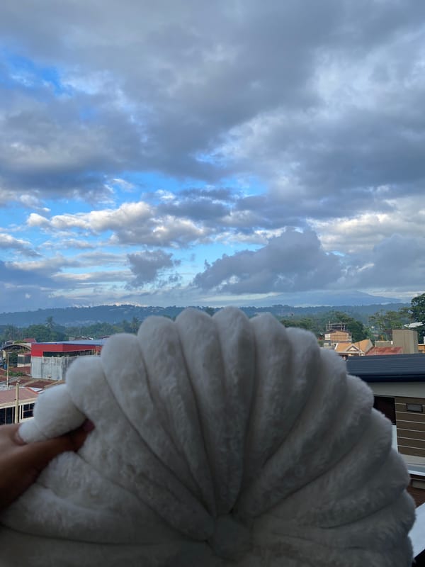 Personal photography session overlooks Davao City residential landscape