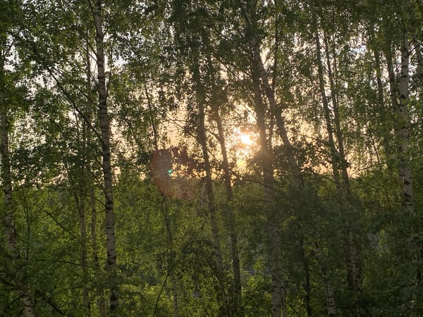 Early Morning Life Documented Across Chaikovsky, Russia