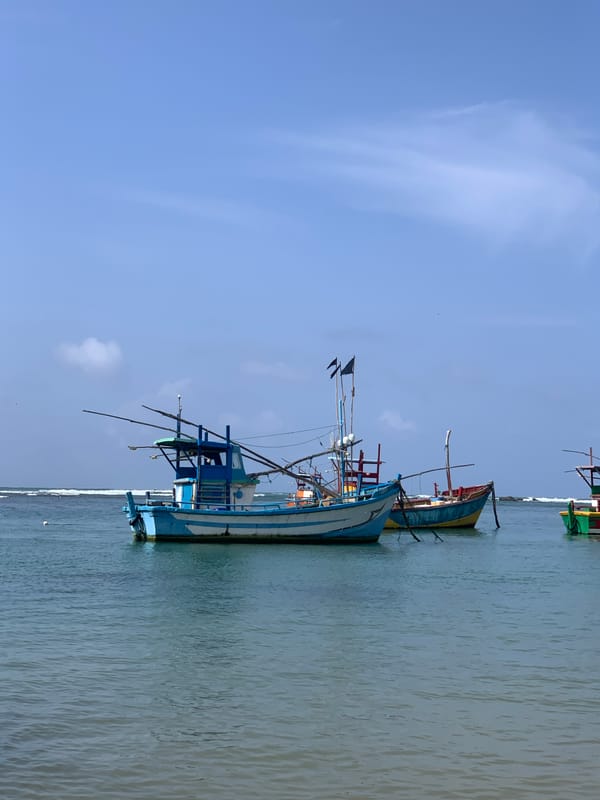 Traditional fishing fleet at rest along Sri Lanka's southern coast