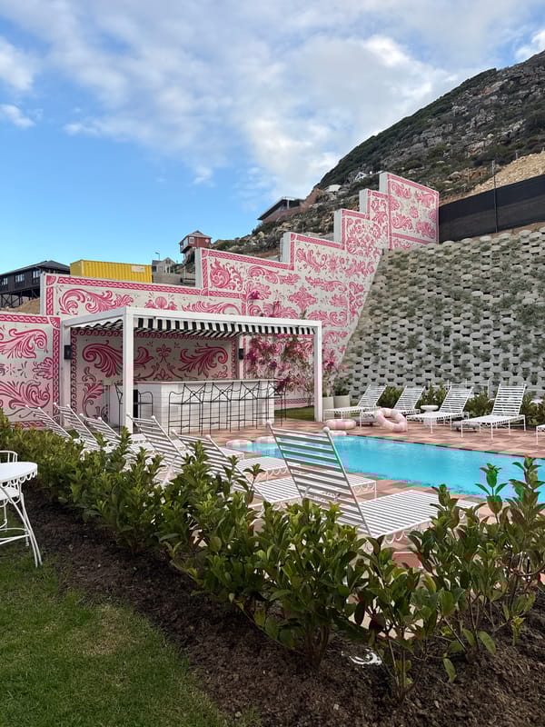 Pink Tintswalo van spotted in Cape Town residential area
