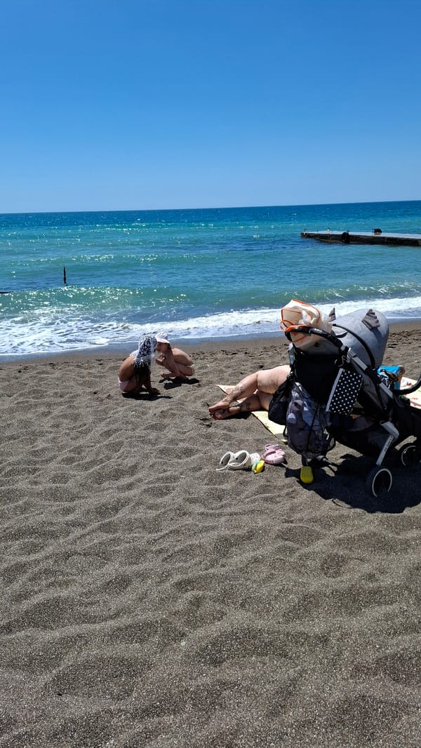 Family with dog enjoys coastal beach trip by bus