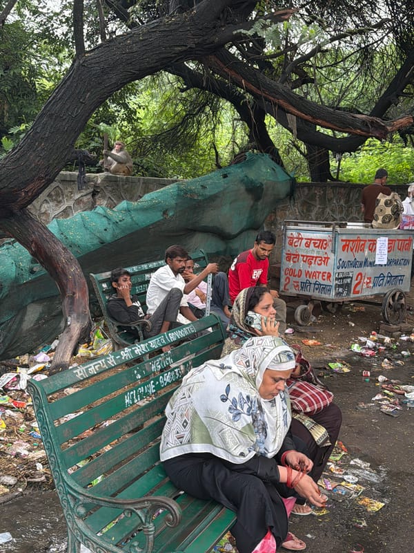 Street life, old gates, and a monkey in Delhi