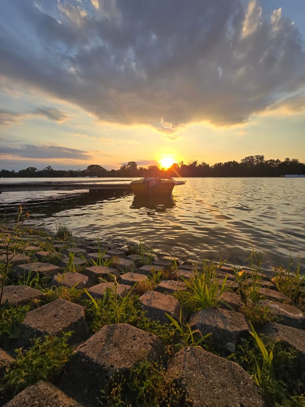Rowing race at sunset on Plovdiv's waterway