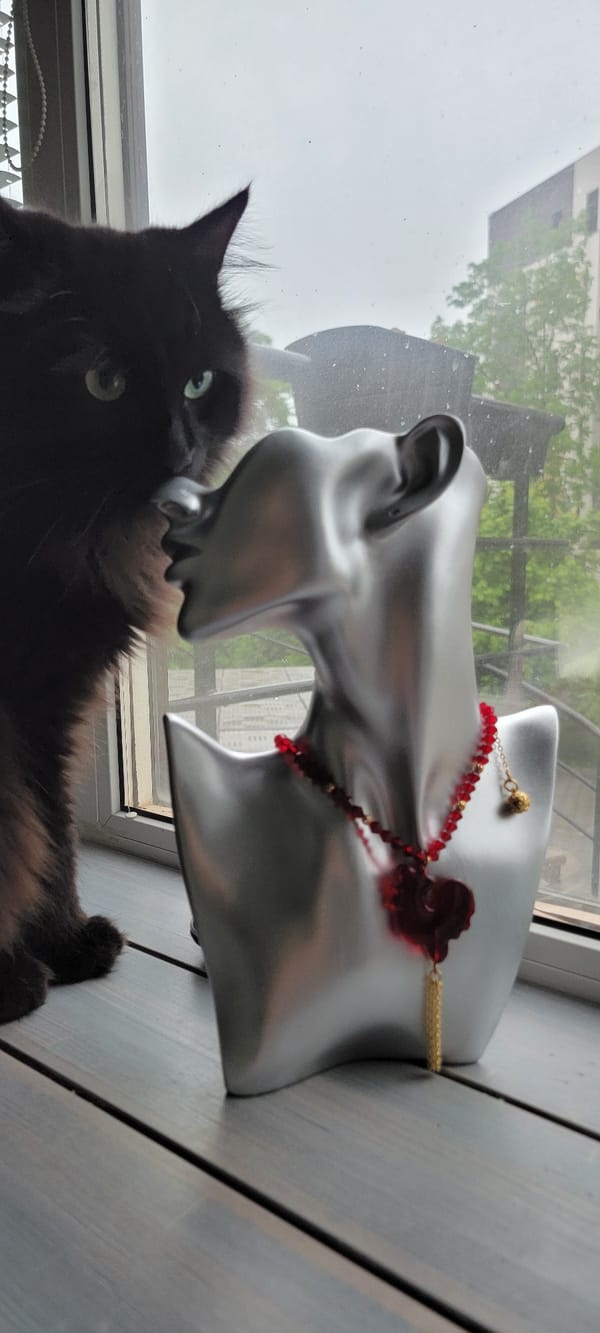 Black cat, patriotic cookies observed in domestic setting