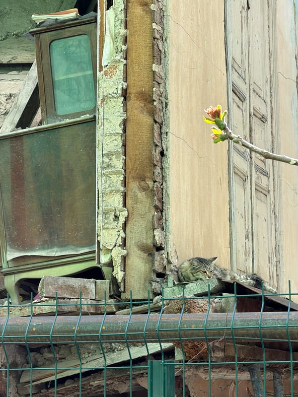 Three people photographed on Tbilisi street Monday morning