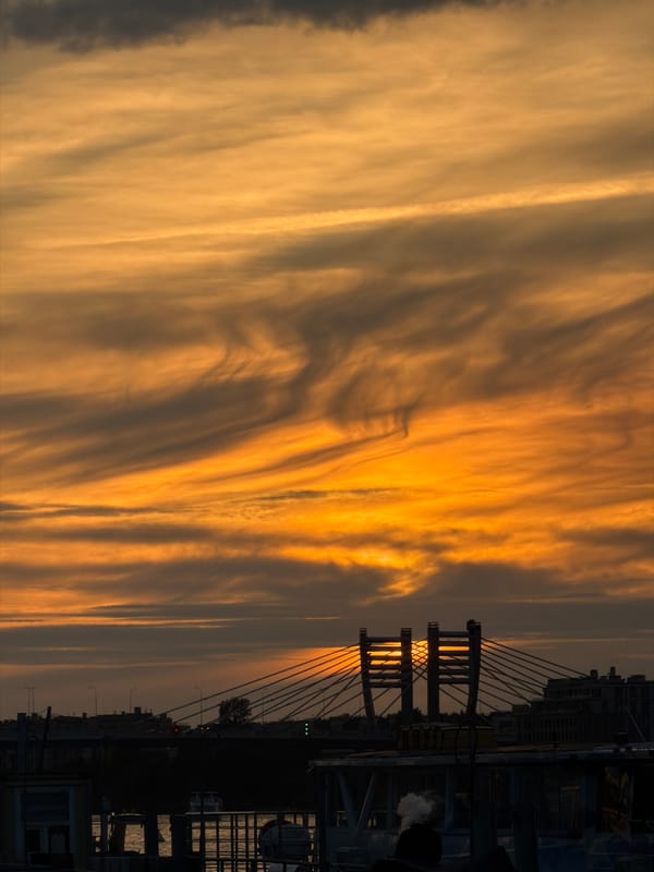 Evening riverside life captured along Saint Petersburg's Neva River embankments