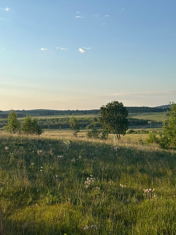 Rural landscape photographed in nighttime sunlight near Kokshetau, Kazakhstan