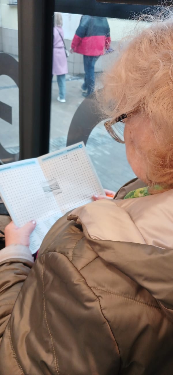 Moscow scenes: elderly woman with puzzle, storefront display observed