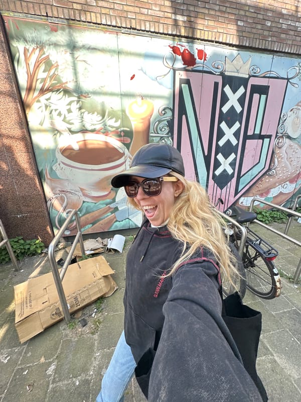 Tourist documents Amsterdam street art and urban scenes