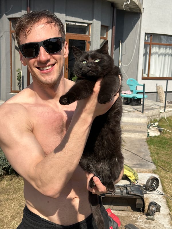 Man does yard work with cats in Kursk backyard