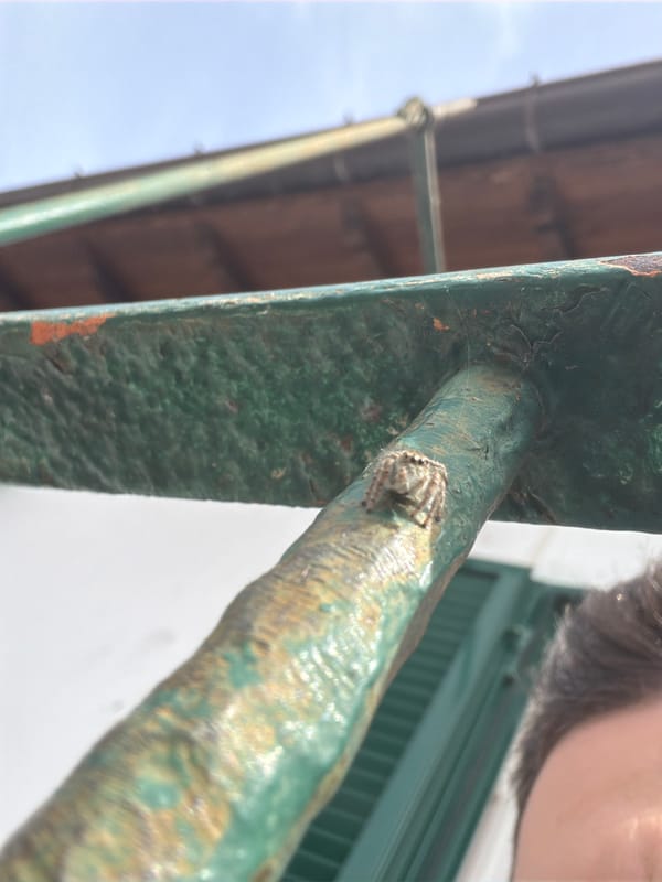 Spider spotted on weathered green railings in Milan
