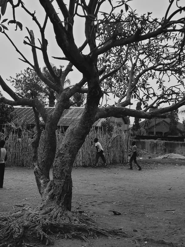 Children gather outdoors near leafless tree in Udu, Nigeria