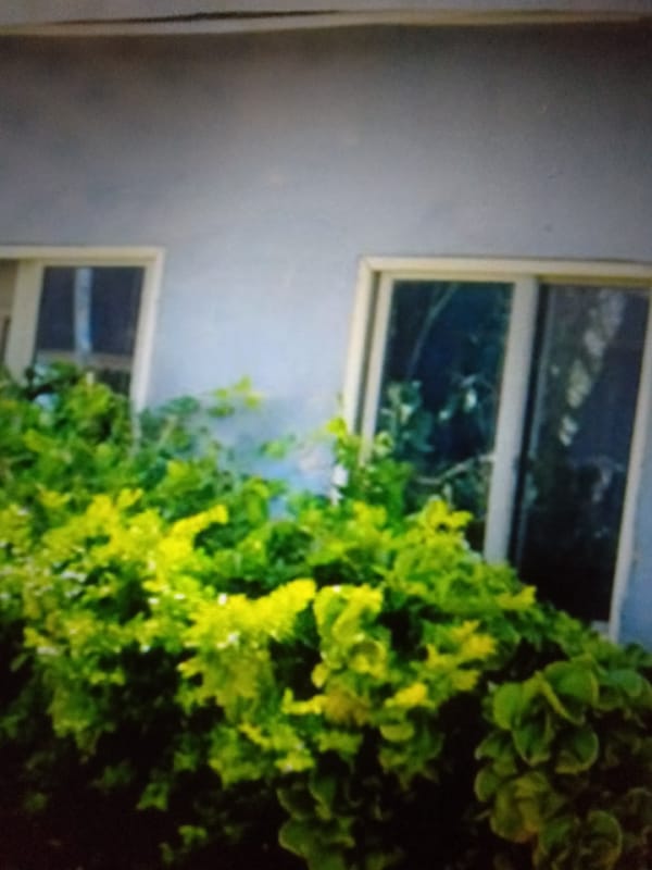 Everyday life in Jalingo, captured across one afternoon