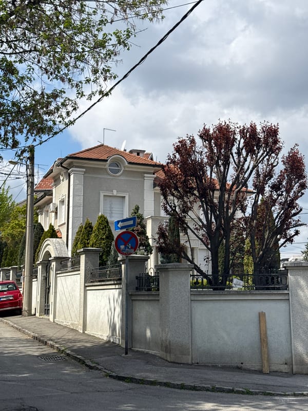 Daily life documented in Vozdovac: residential streets, public transit