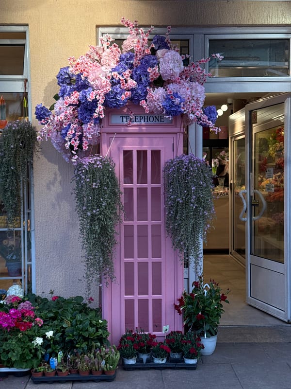 Flower-decorated pink phone booth spotted in Budva, Montenegro