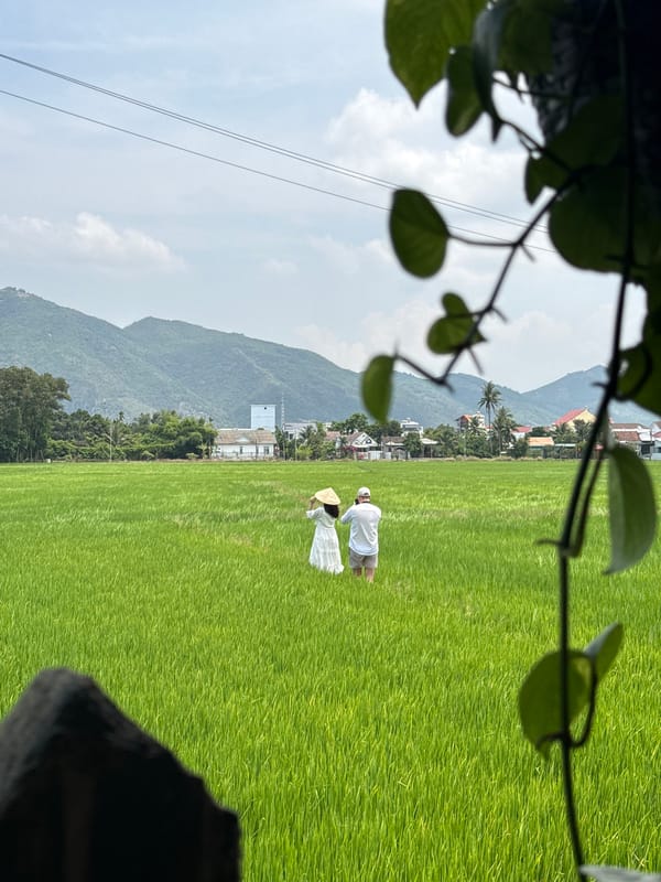 Morning leisure activities documented in Diên Khánh rice paddies