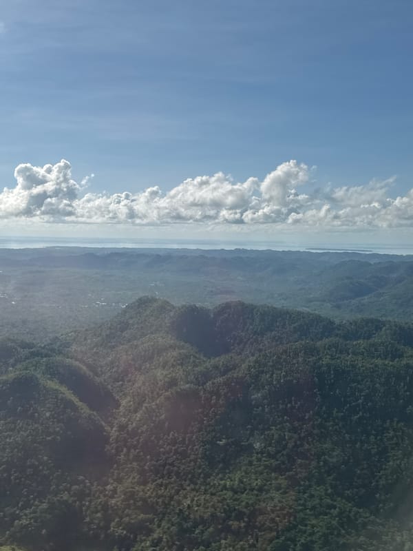 Aerial view captured over Del Carmen Philippines landscape