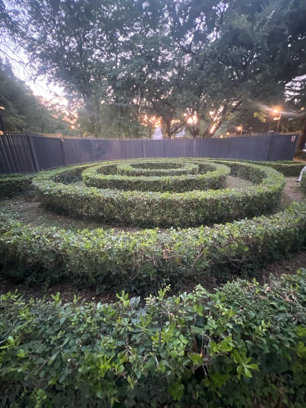 Evening scenes documented in Podgorica: hedge maze and portrait