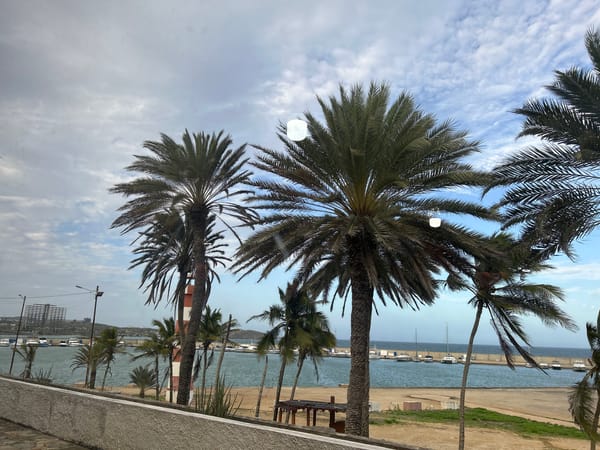 Evening moments captured across Porlamar's coastal areas and gym