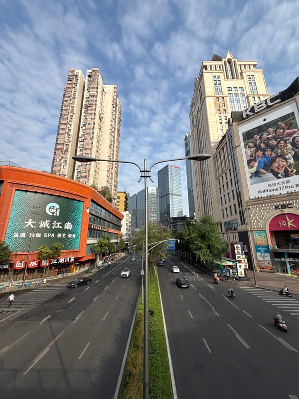 Panda sculpture spotted in Chengdu's Jinjiang District