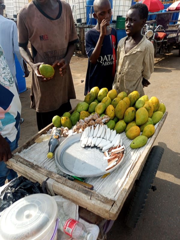 Daily life documented on streets of Timia, Niger
