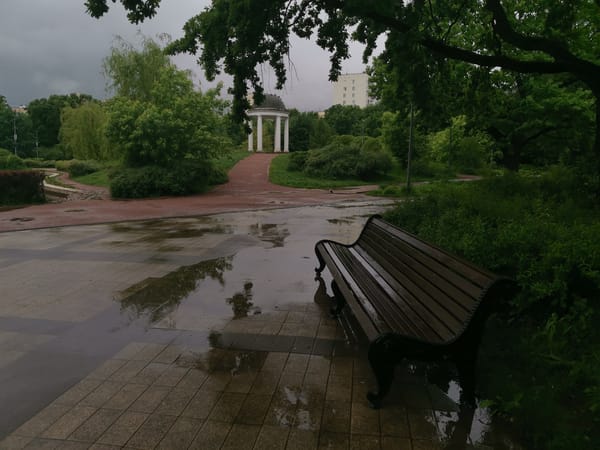 Rainy day scene documented at Moscow park with bench, rotunda