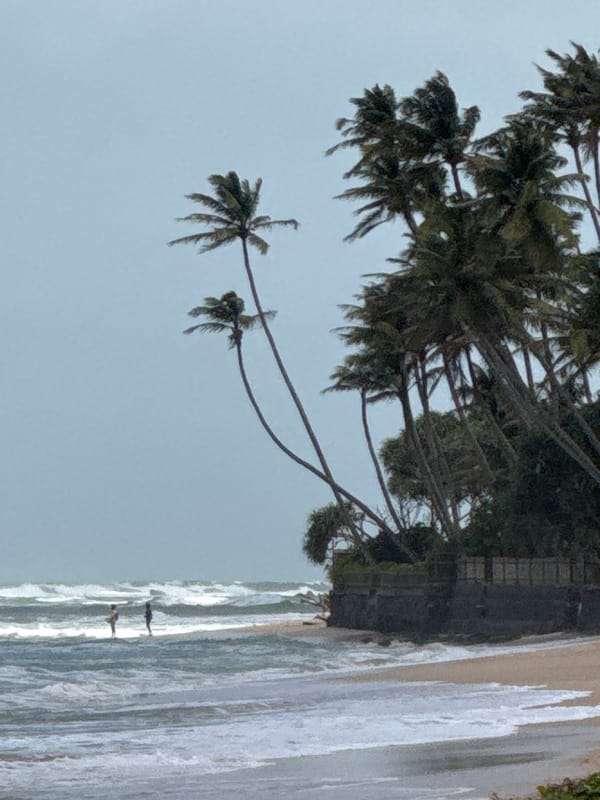 Habaraduwa beach on a cloudy morning, waves and palm trees