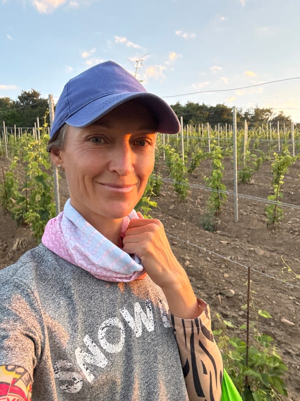 Sunset visit to a vineyard in Lavrovoe, Ukraine