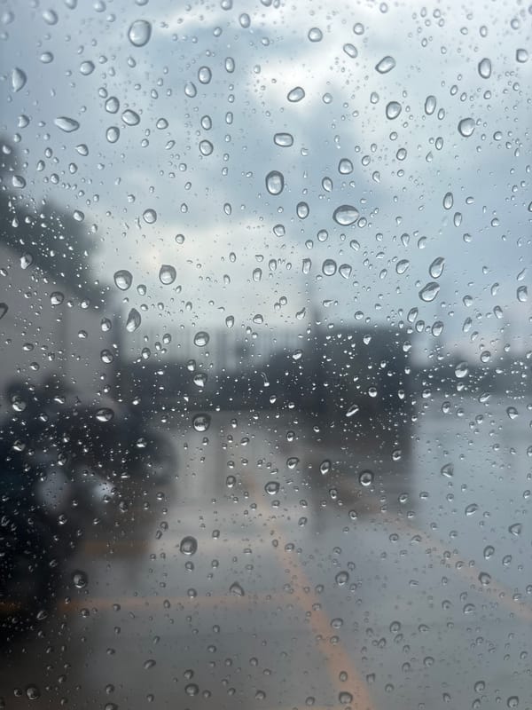 Evening rain falls in Mexico City's Buenavista district