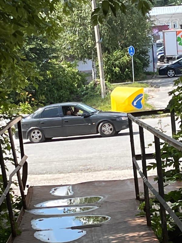 Grocery run and outdoor moments across a casual morning