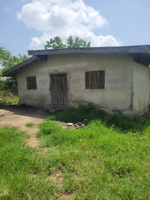 Daily life scenes captured in Ogbomosho, Nigeria