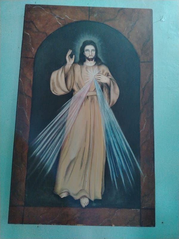 Religious artifacts and flowering trees documented in Los Leoncitos, Venezuela