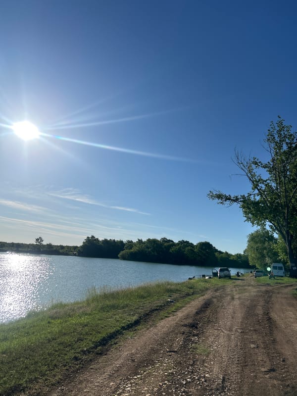 Sunny waterway scene with vegetation and dirt road documented