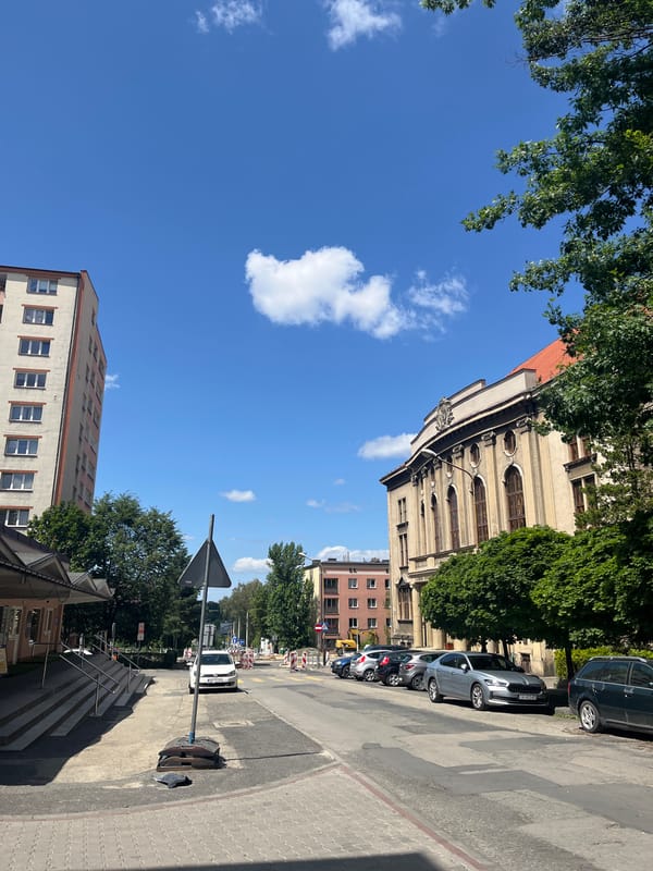 Sunny city selfie series near a cobblestone street
