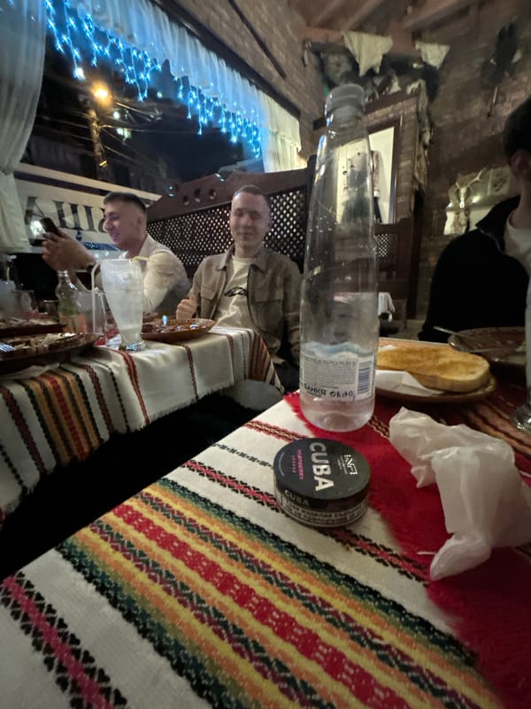 Two men dine at traditional Bulgarian restaurant in Sofia