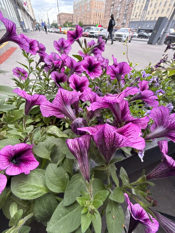 Morning scenes from Moscow cafes and streets documented