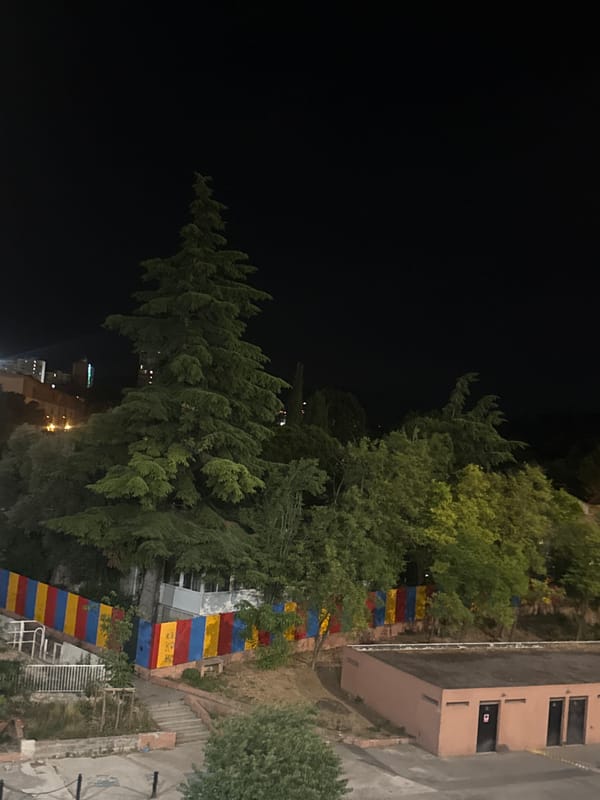 Nighttime parking lot and wooded hillside documented by witness