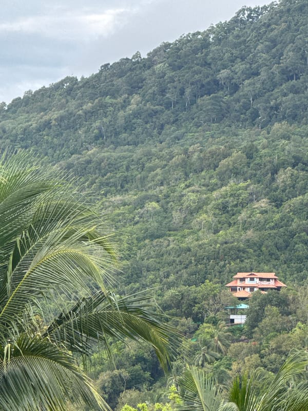 Witness documents tropical landscape in Ban Tai Subdistrict, Thailand