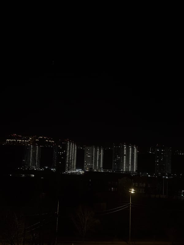 Cat portrait and nighttime buildings photographed in Krasnoyarsk