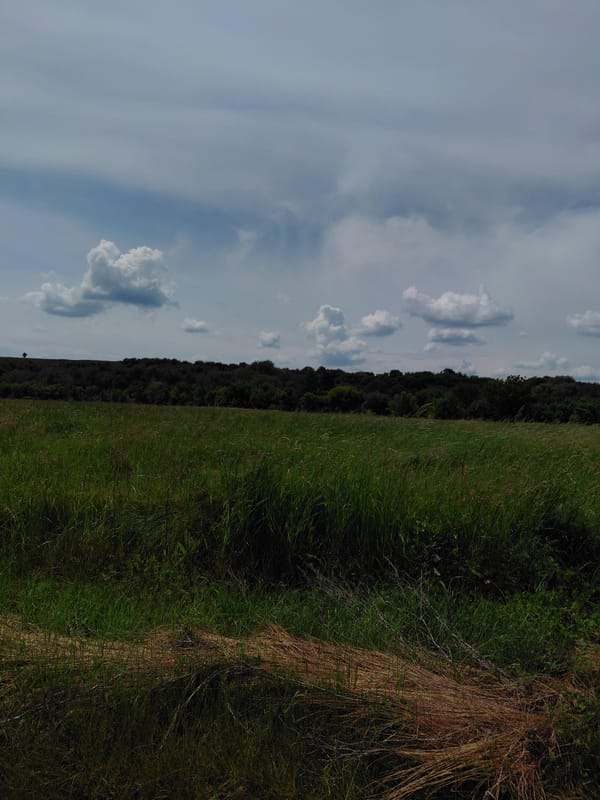 Witness documents windswept grassland over 4-minute span