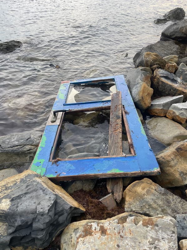 Coastal debris documented along Olginka beach shoreline