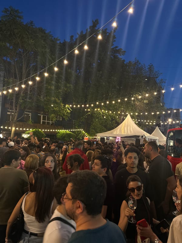 Evening wine festival draws crowds in Yerevan, Armenia